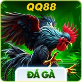 Đá gà QQ88 icon