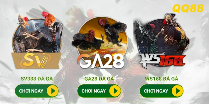 Đá gà mạng QQ88 - kết hợp giữa giá trị truyền thống và công nghệ hiện đại